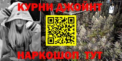 индика Гусь-Хрустальный