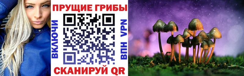 Галлюциногенные грибы Psilocybe  МЕГА онион  Чусовой  как найти закладки 