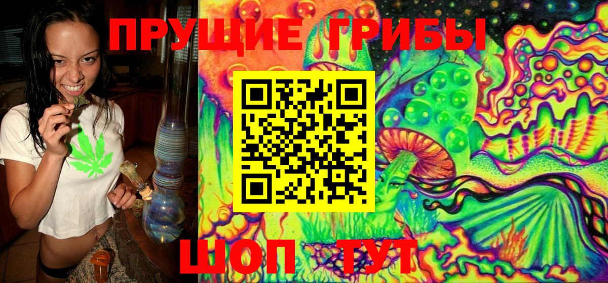 Псилоцибиновые грибы Magic Shrooms  Чусовой 