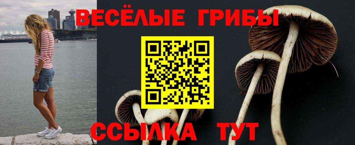 Галлюциногенные грибы MAGIC MUSHROOMS Чусовой