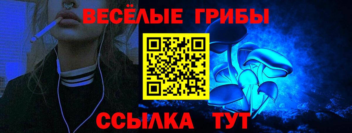 Галлюциногенные грибы Cubensis Чусовой